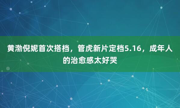 黄渤倪妮首次搭档，管虎新片定档5.16，成年人的治愈感太好哭